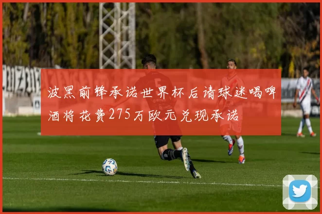 波黑前锋承诺世界杯后请球迷喝啤酒将花费275万欧元兑现承诺