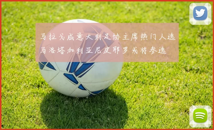 马拉戈成意大利足协主席热门人选马洛塔加利亚尼皮耶罗或将参选